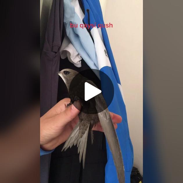 Tayt va pantalonlar jinsiy aloqa Eski porno tomosha qiling