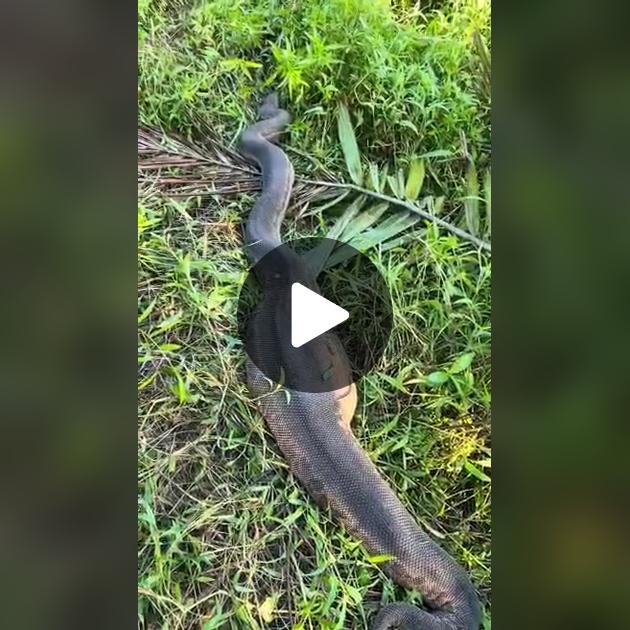 Uy bekalari va xizmatkorlar bilan porno U uxlab yotganida porno filmni tomosha qiling