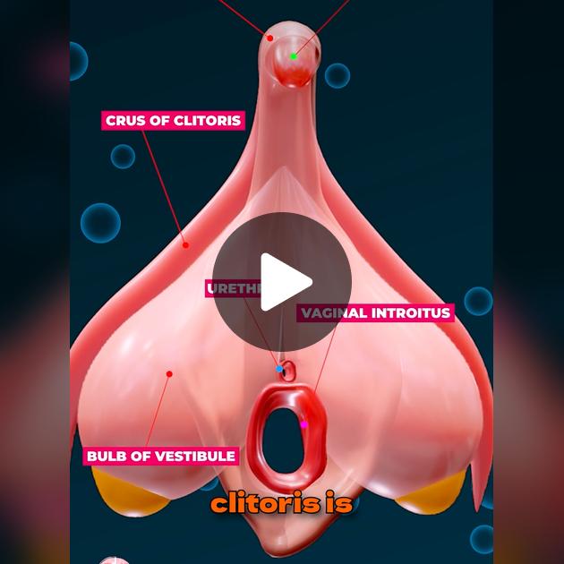 Yalangoch Tahina Tozzi Tukli mushuk ona porno video onlayn