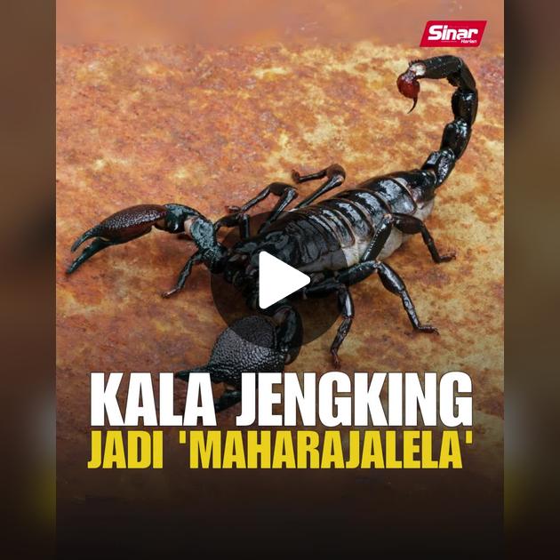 Ikki yosh rus ayol jinsiy olatni birinchi marta kordi. Yigitning dumbasidagi bodring surati