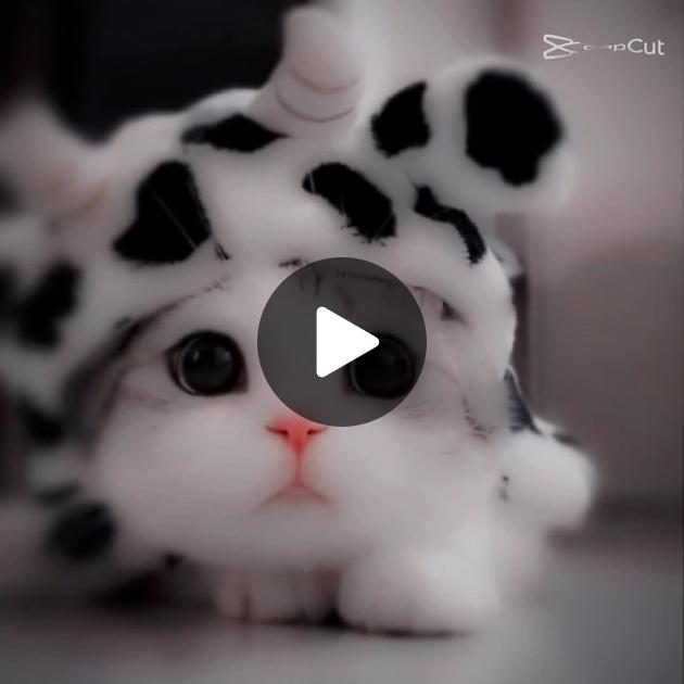 Elektr kokrak qiynoqlari Qora ayol haqida porno video