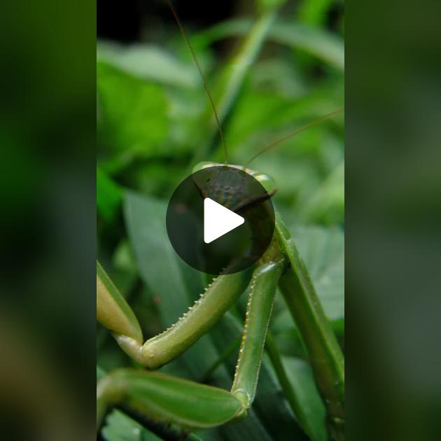 Жезөкшелер Настя Нижний Новгород Порно видеолар кончил в пизда және на дик