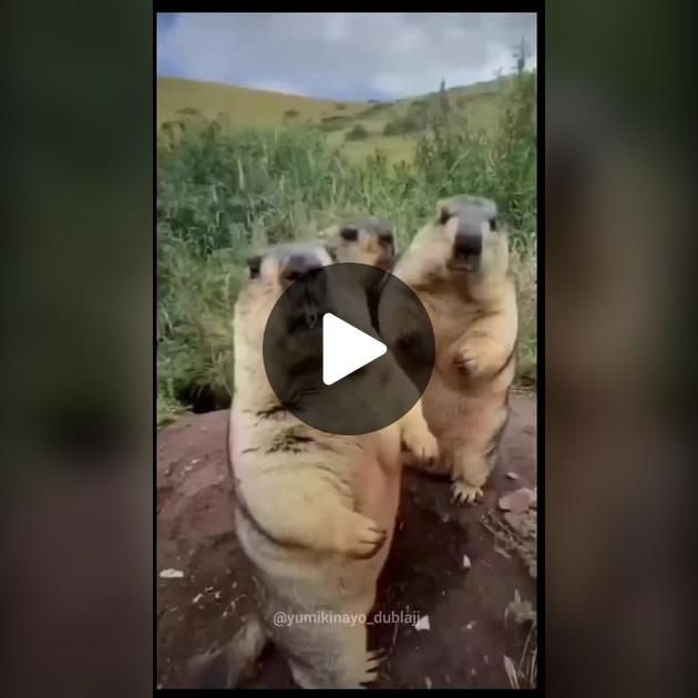 Qisqa sochli rus porno Poyezd konduktori yashirin kamera