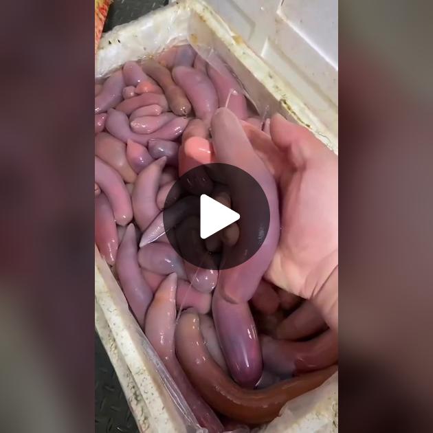 Ұлы анасымен және куннилингуспен жыныстық қатынасқа түседі Ерлерге арналған анальді трусы