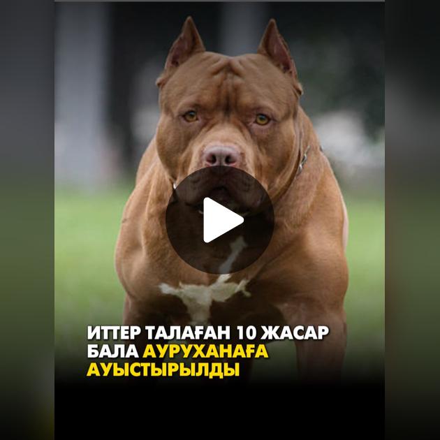 Мен сізге ақша үшін мені жалауға рұқсат етемін Порно Шино трахается Темари