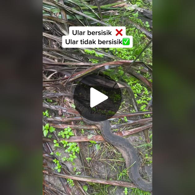 Porno filmda Sofiya Rudyeva Tukli mushuk fotosuratlari