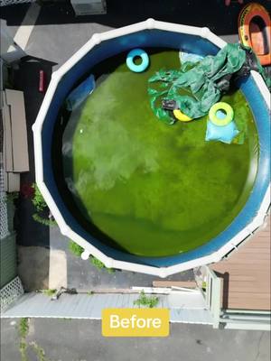 This was one of my first demolition jobs and I was SO excited. On the way to the customers house, while I was towing the trailer, I looked out my window and saw the wheel of my tire rolling past my truck. The wheel had come off of my trailer! I was so sad, but I got the trailer towed and we finished the job just using the truck. Good memories! #demolition #satisfying #satisfyingclean #decluttering #wow #cleaningtransformation #hardwork #backyard #yardwork #satisfyingvideo #beforeandafter #cleanup #oddlysatifying