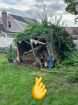 Gave this customer his yard back! We demoed this overgrown shed in his backyard! #cleantok #satisfying #satisfyingclean #decluttering #wow #cleaningtransformation #hardwork #backyard #yardwork #cleanout #springcleaning