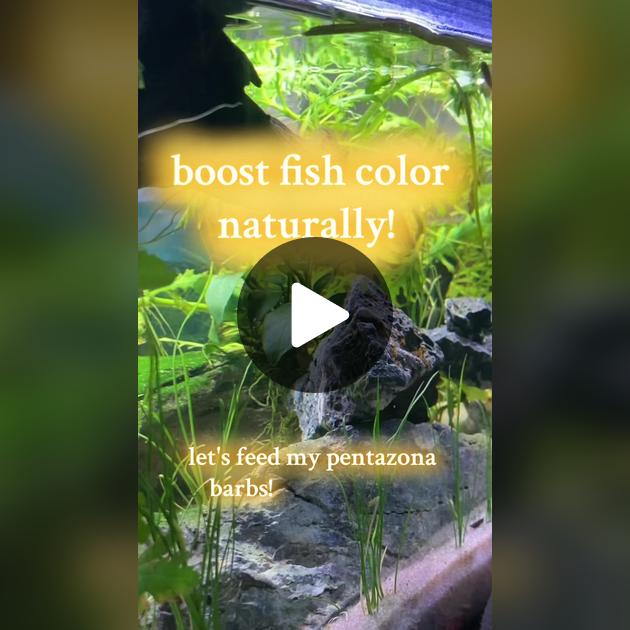 Birinchi haqiqiy rus anal seks video onlayn Xotin porno tomosha qildi va erkalab ketdi