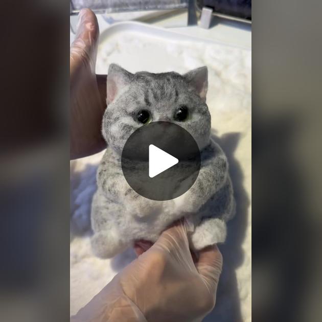 Qiziqarli nola bilan jinsiy aloqa Shannon Elizabeth yalangoch video